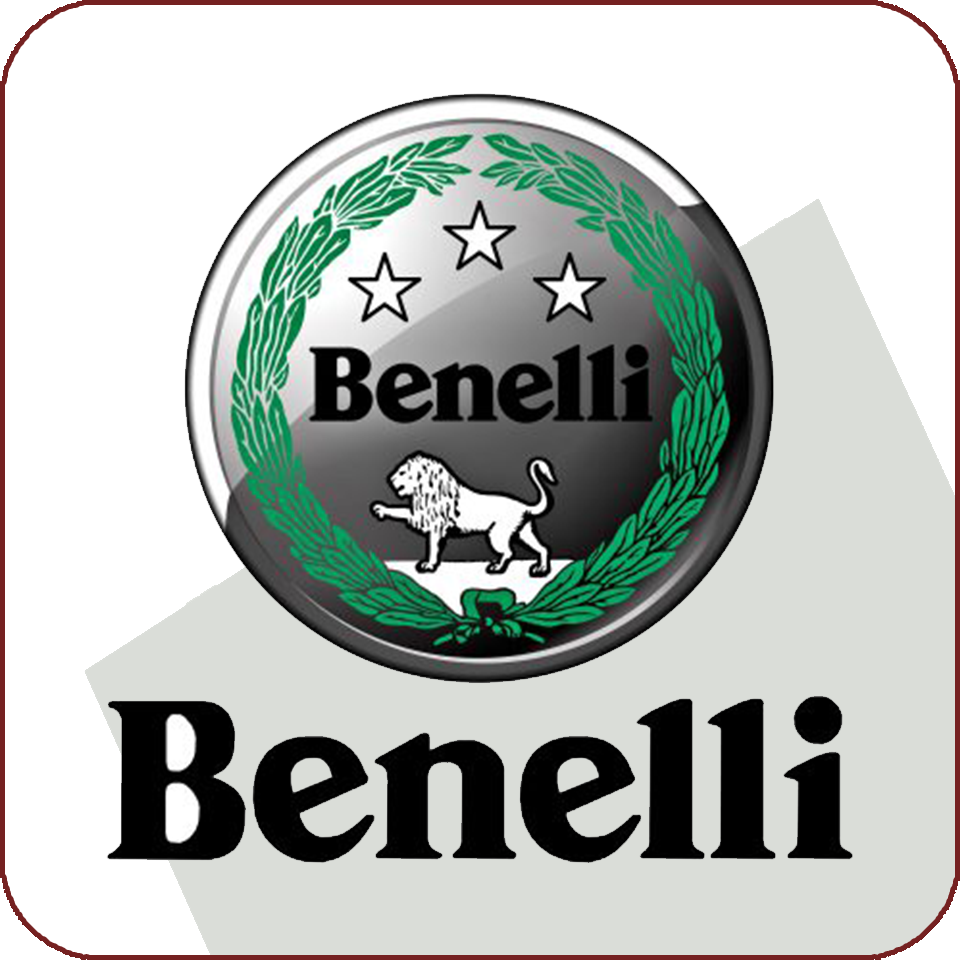 Benelli ECU-Flash