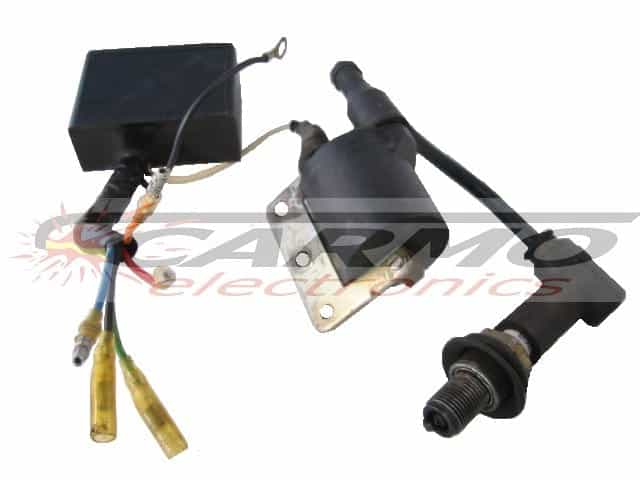 250mx (54631831000,343 S 00150) CDI ECU IGrititer Modul Back Box