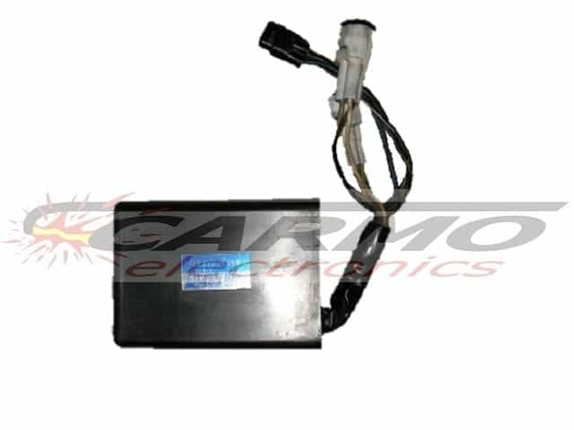 KLX250 (21119-1381, 21119-1399) CDI Gyújtó Modul