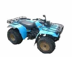 Yfm225